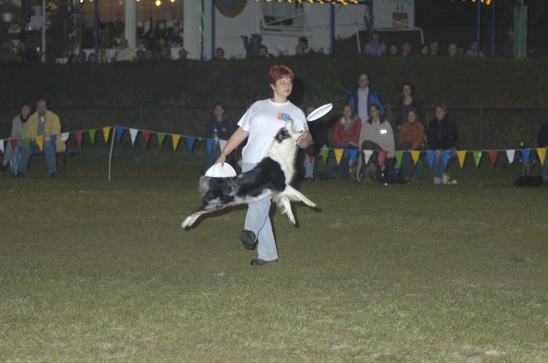 Bild 12 von 112  -  131 kB