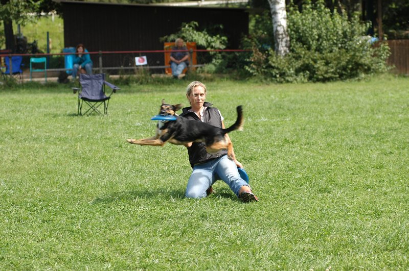 Bild 10 von 117  -  136 kB