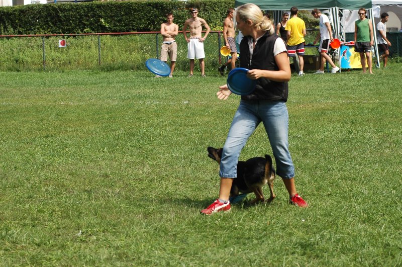 Bild 11 von 117  -  159 kB