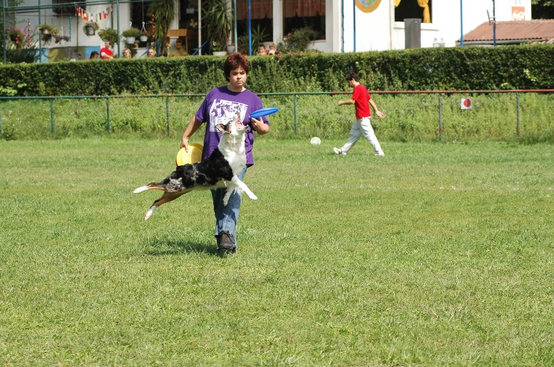 Bild 12 von 117  -  152 kB