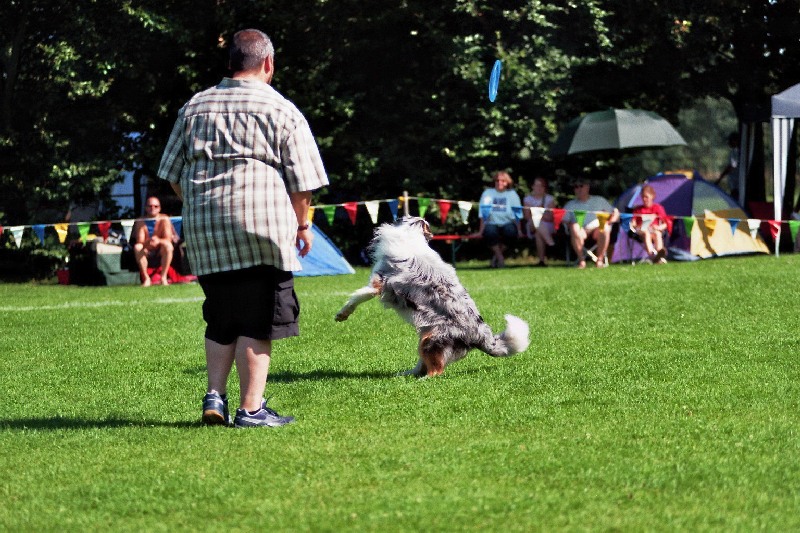 Image 167 of 365  -  169 kB