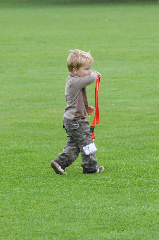 Image 2 of 855  -  237 kB