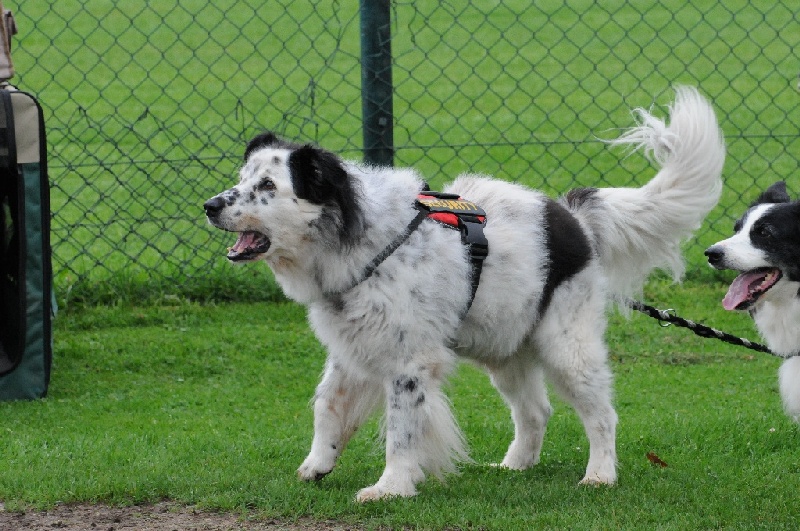 Image 4 of 855  -  270 kB