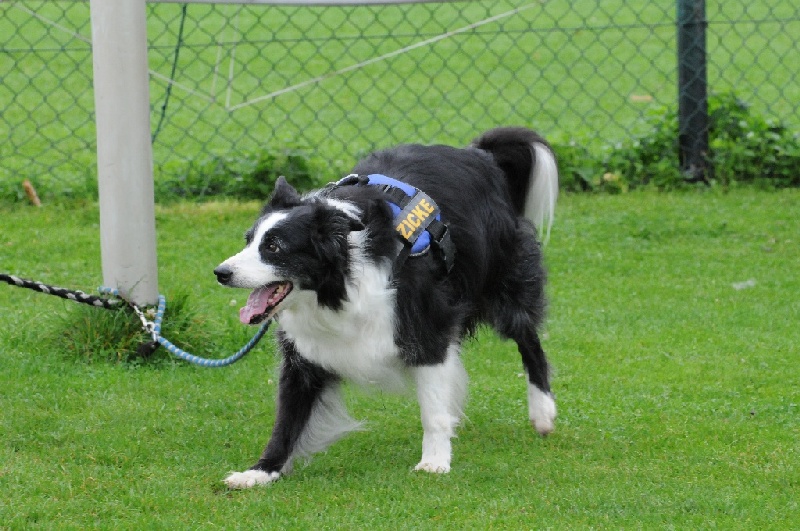 Image 5 of 855  -  253 kB