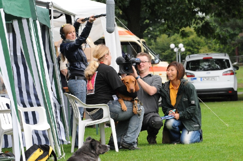 Image 6 of 855  -  281 kB