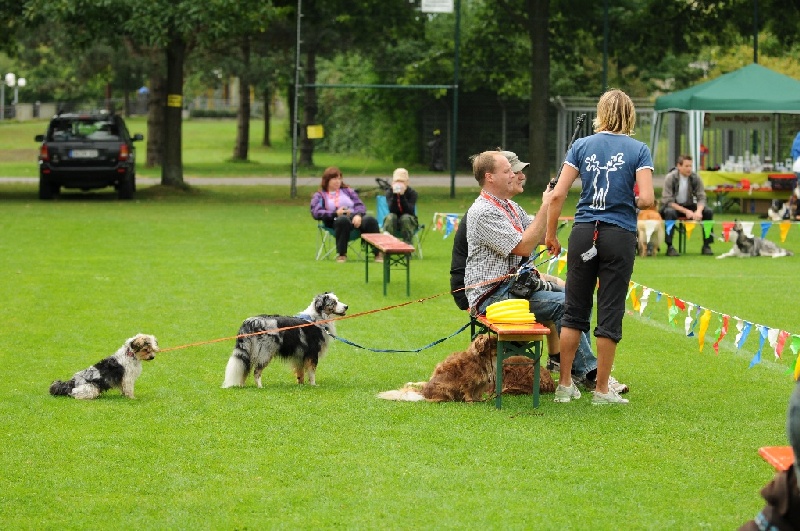 Image 10 of 855  -  270 kB