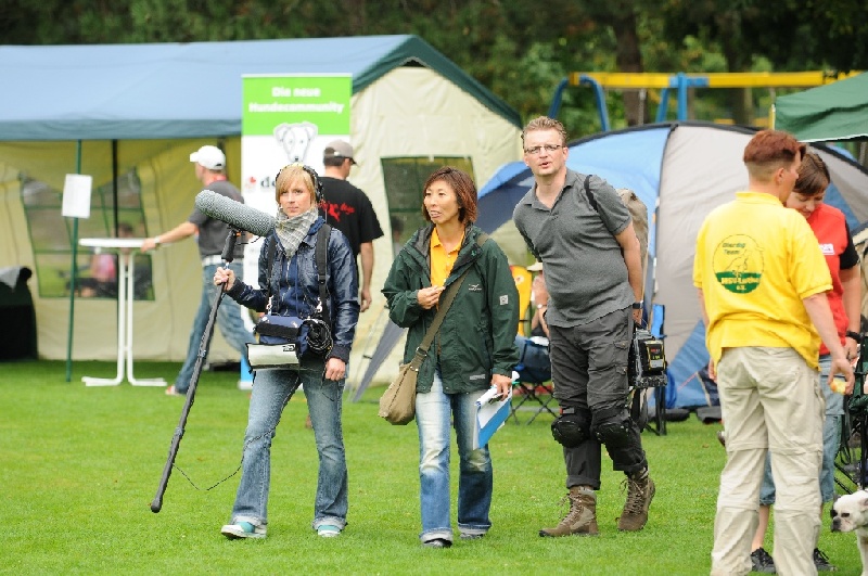 Image 12 of 855  -  254 kB