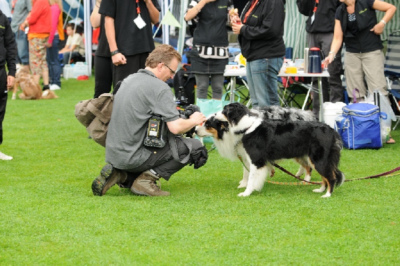 Image 13 of 855  -  288 kB