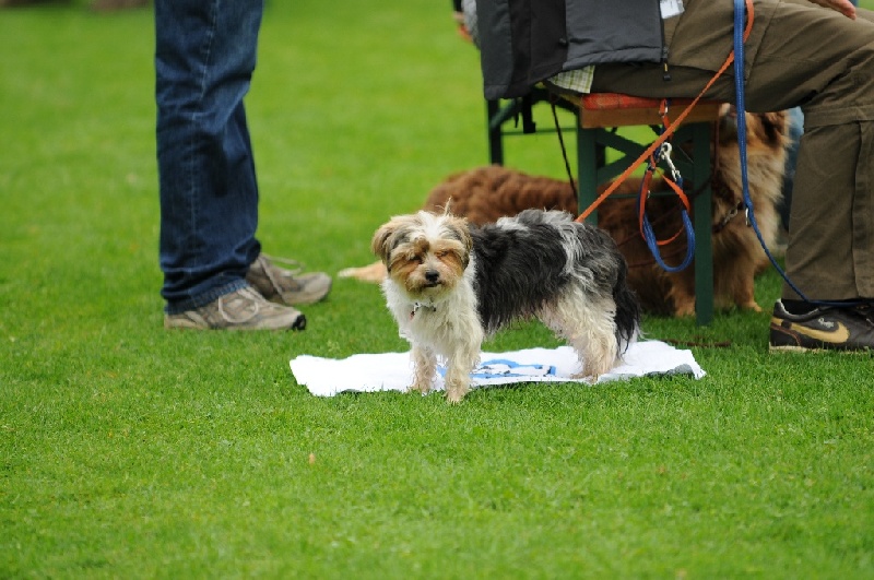 Image 14 of 855  -  232 kB