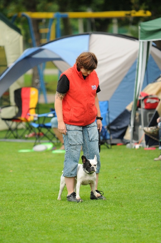 Image 18 of 855  -  227 kB