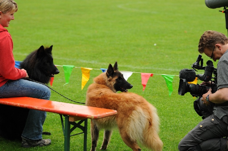 Image 19 of 855  -  233 kB