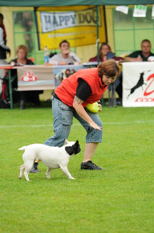 Image 20 of 855  -  236 kB