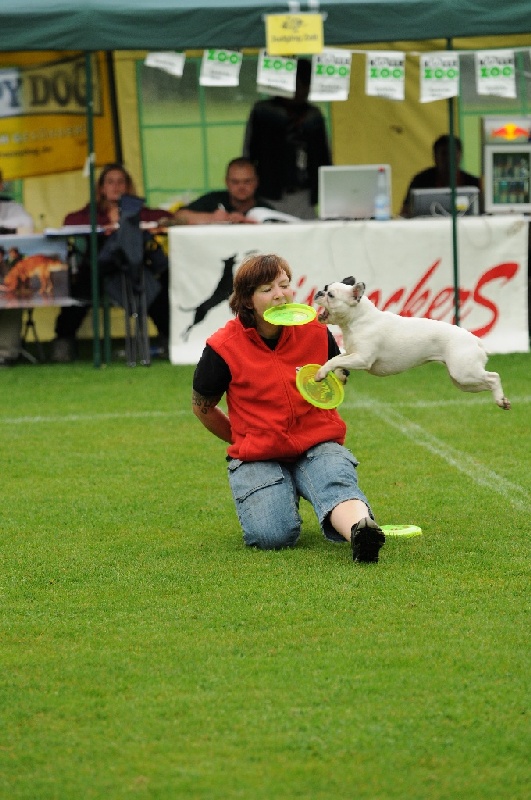 Image 21 of 855  -  237 kB