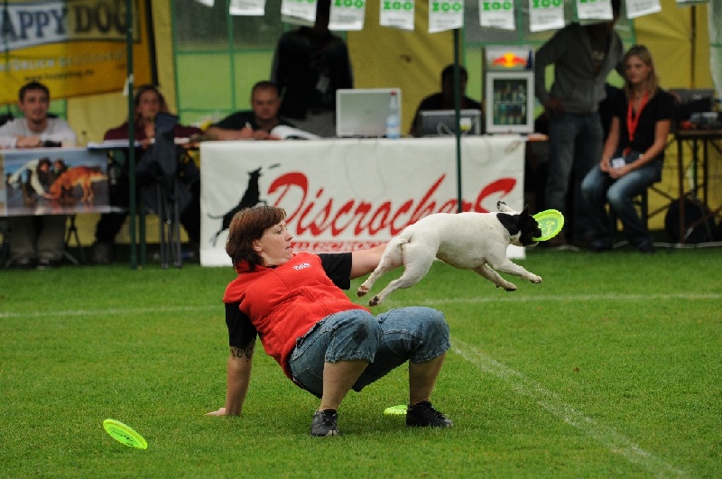 Image 23 of 855  -  245 kB