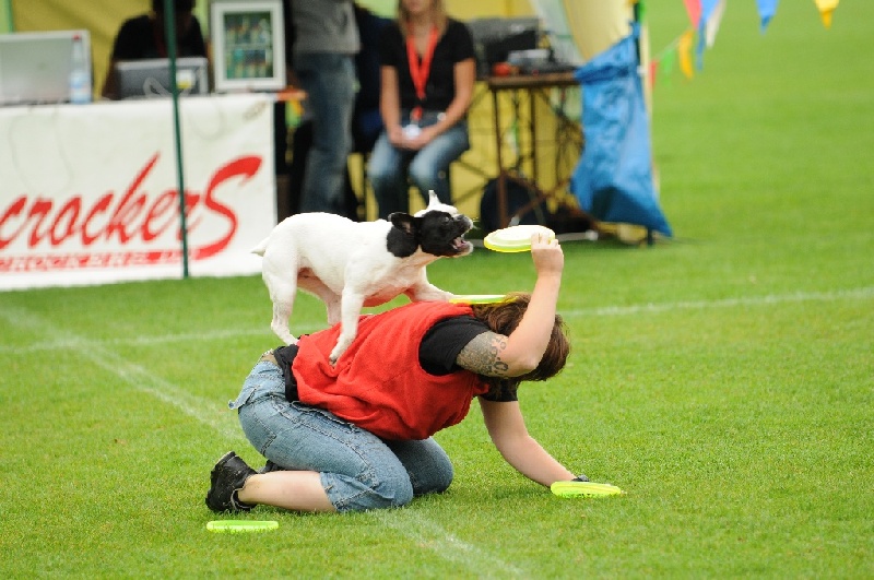 Image 24 of 855  -  232 kB