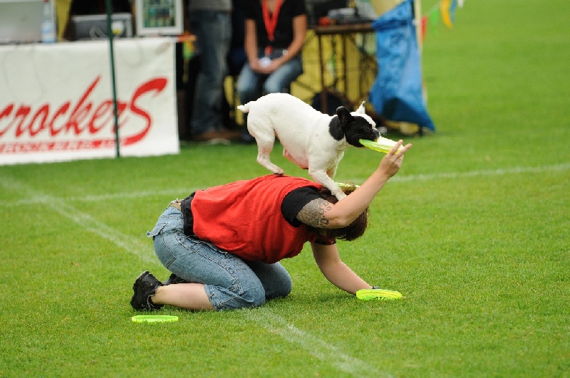 Image 25 of 855  -  237 kB