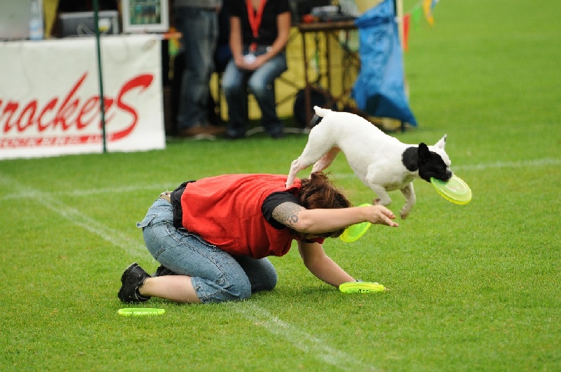 Image 26 of 855  -  238 kB