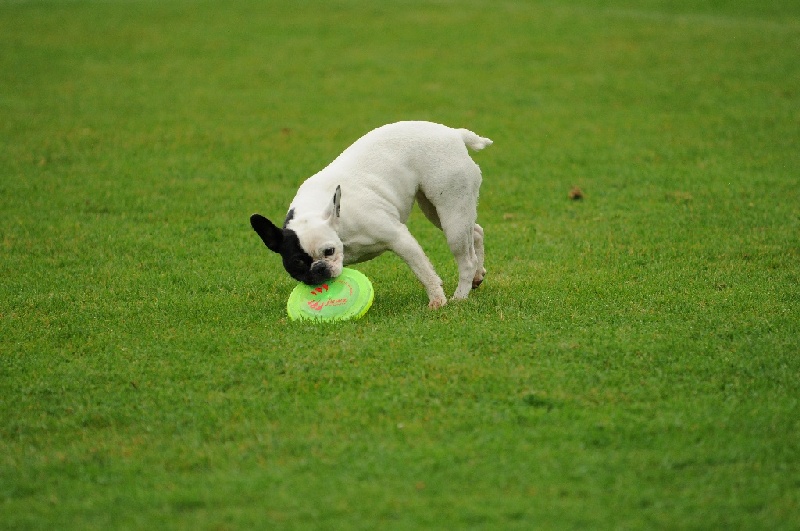 Image 27 of 855  -  224 kB