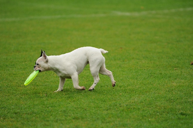 Image 28 of 855  -  215 kB