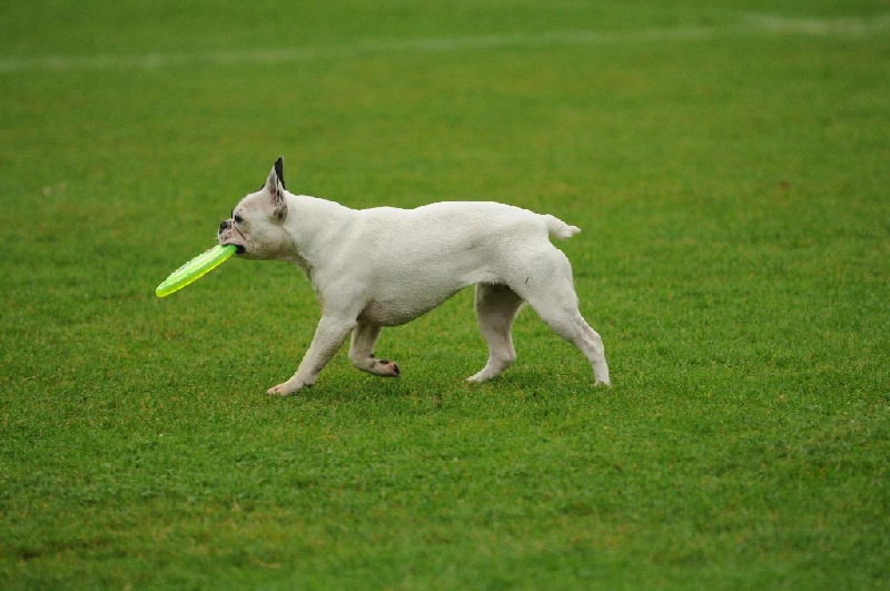 Image 29 of 855  -  223 kB