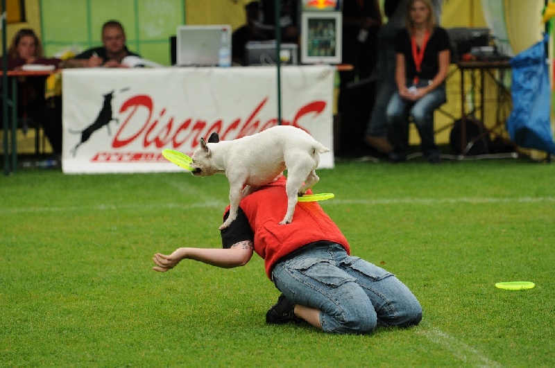 Image 30 of 855  -  237 kB