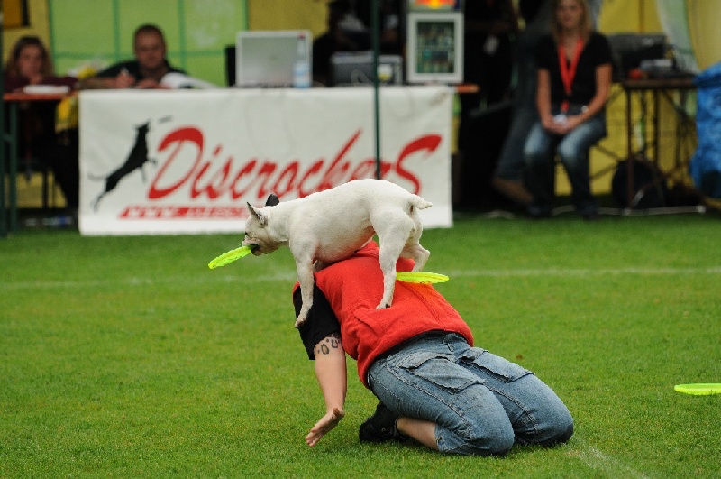 Image 31 of 855  -  229 kB