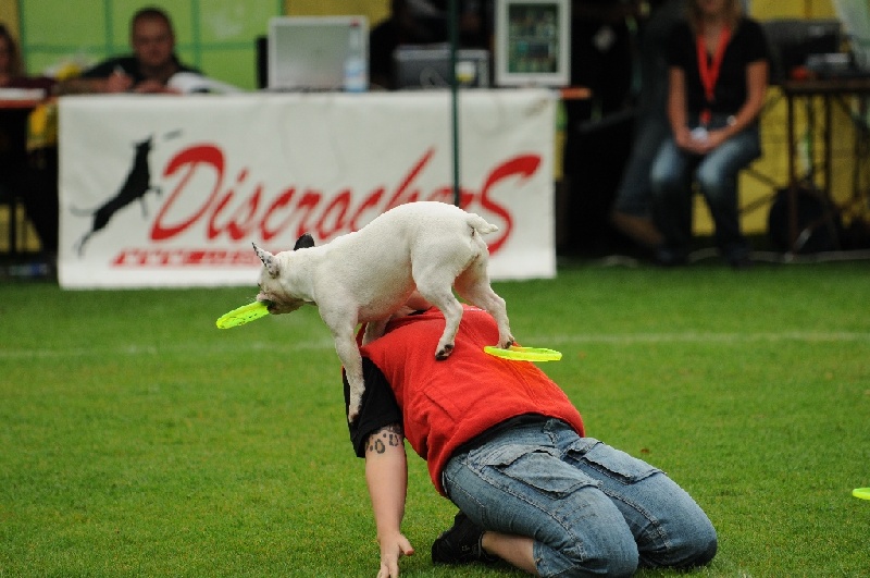 Image 32 of 855  -  221 kB