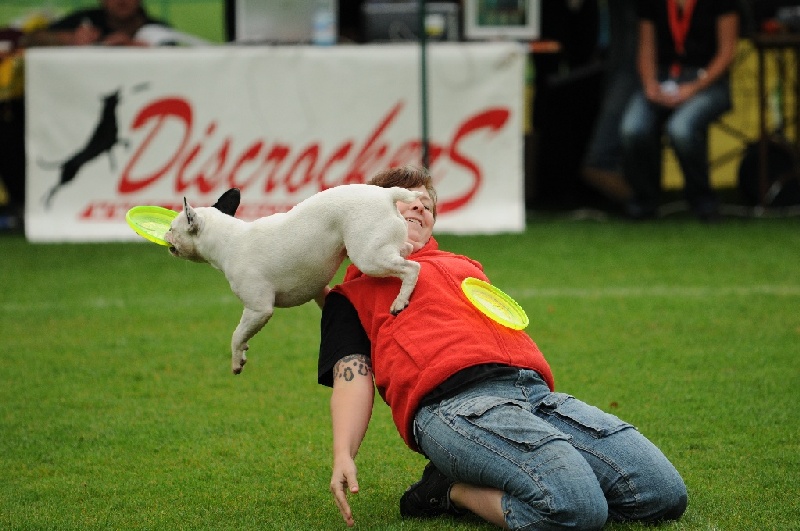 Image 33 of 855  -  221 kB