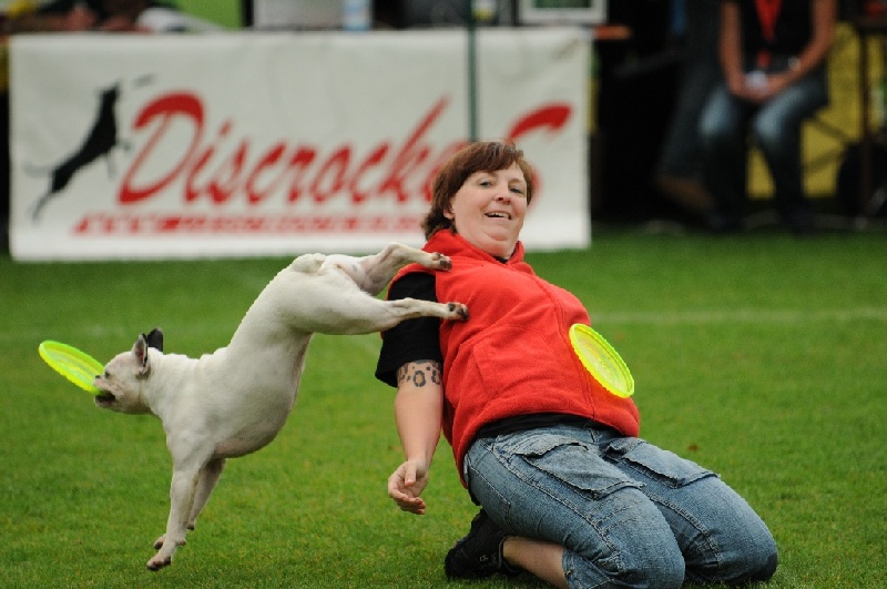 Image 34 of 855  -  211 kB