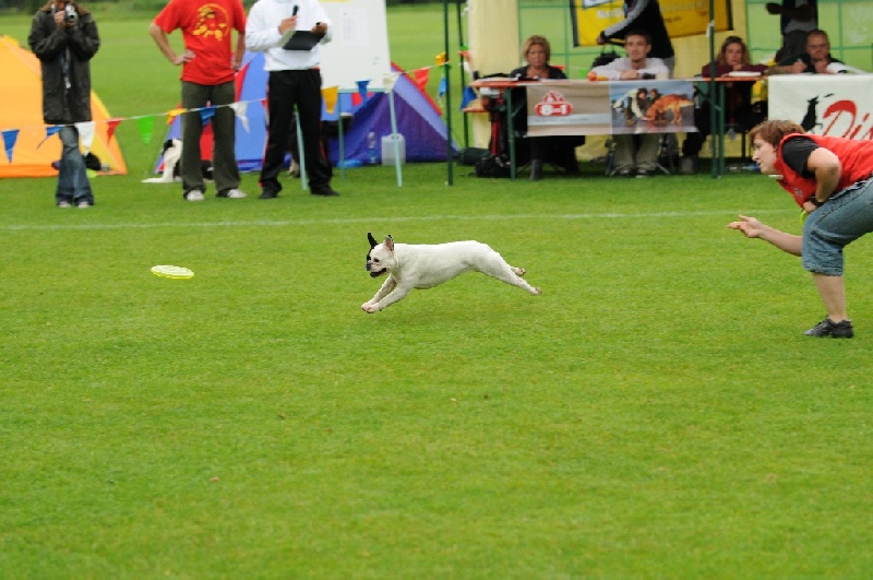 Image 35 of 855  -  227 kB