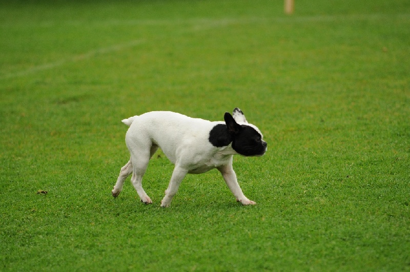 Image 36 of 855  -  224 kB