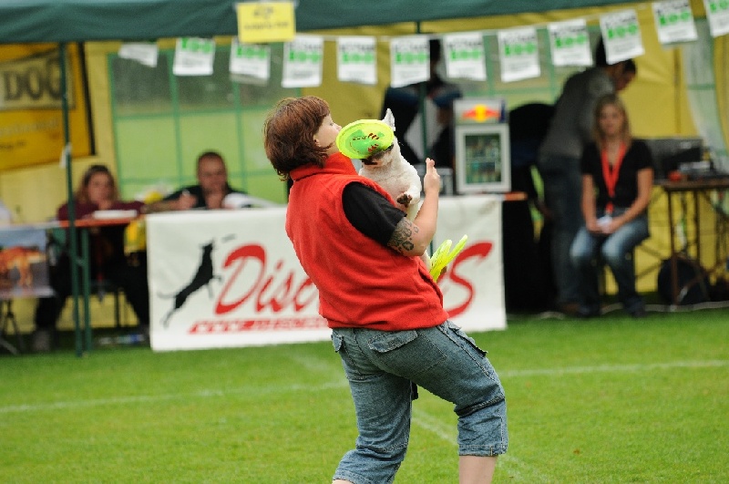 Image 37 of 855  -  216 kB