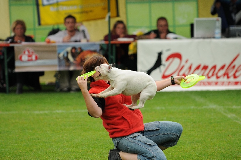 Image 38 of 855  -  212 kB