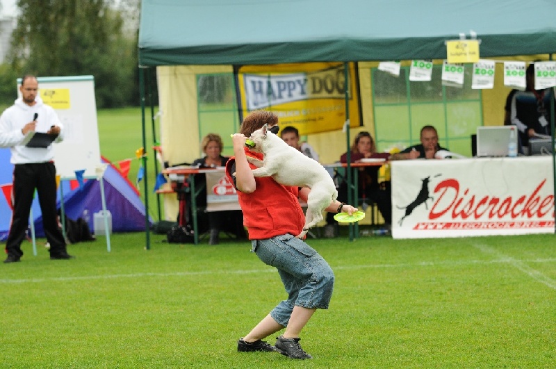 Image 39 of 855  -  235 kB