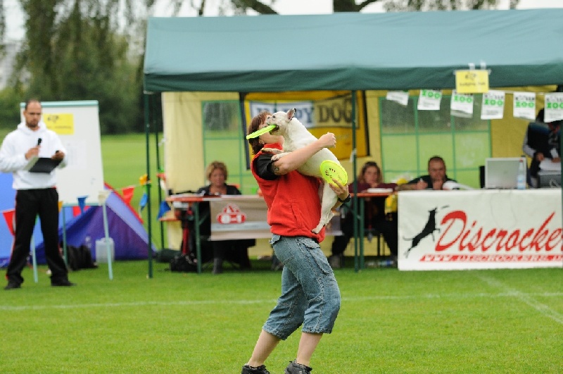 Image 40 of 855  -  219 kB