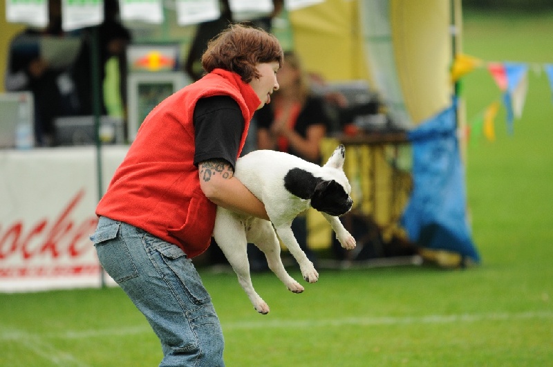 Image 41 of 855  -  197 kB