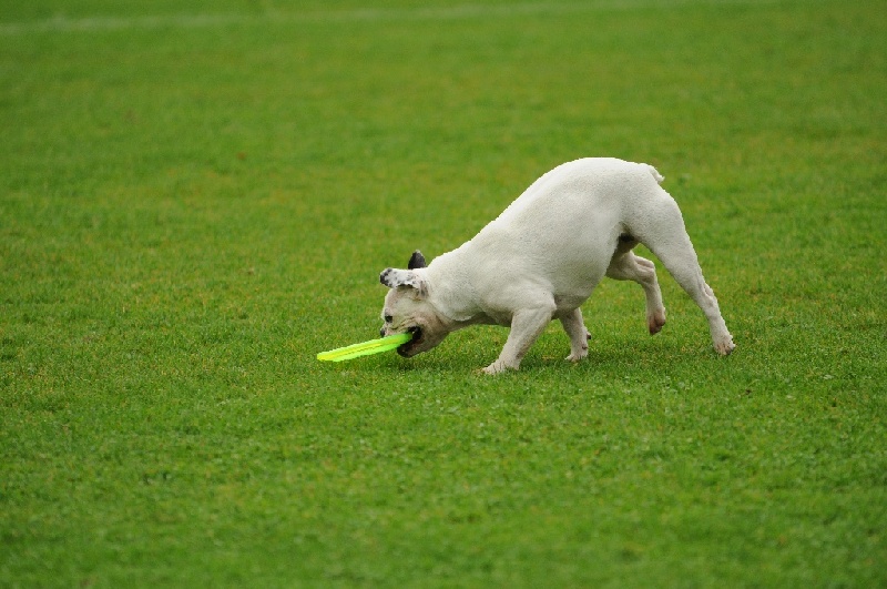 Image 42 of 855  -  225 kB