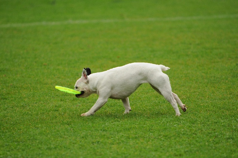 Image 43 of 855  -  222 kB