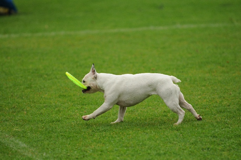 Image 44 of 855  -  219 kB