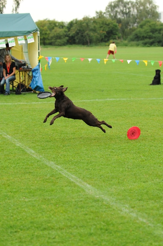 Image 47 of 855  -  227 kB