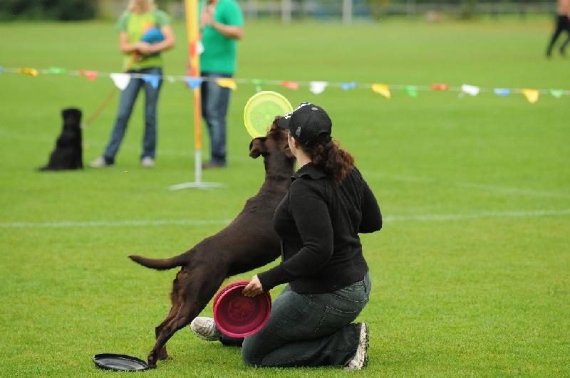 Image 48 of 855  -  201 kB