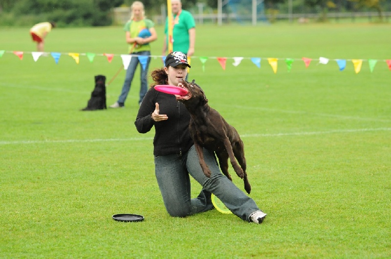 Image 49 of 855  -  220 kB