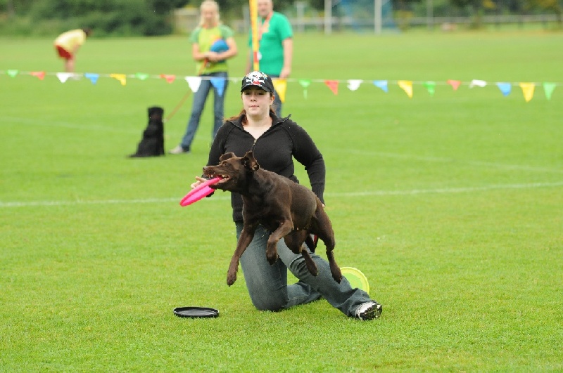 Image 50 of 855  -  215 kB