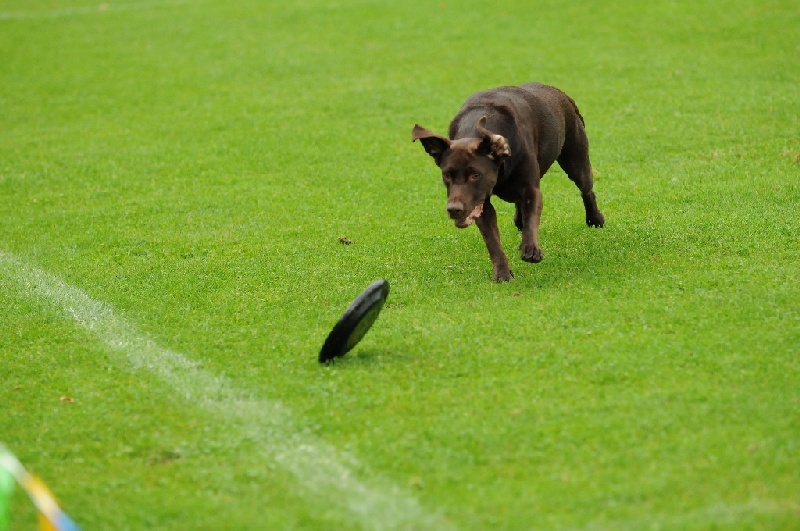 Image 51 of 855  -  220 kB