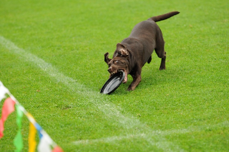 Image 52 of 855  -  230 kB