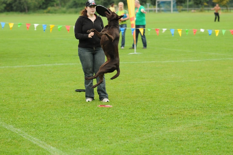 Image 53 of 855  -  238 kB