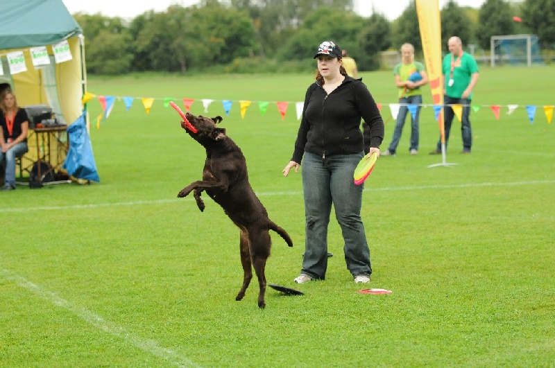 Image 54 of 855  -  238 kB