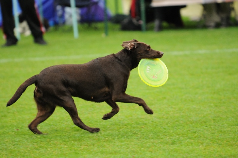 Image 55 of 855  -  187 kB