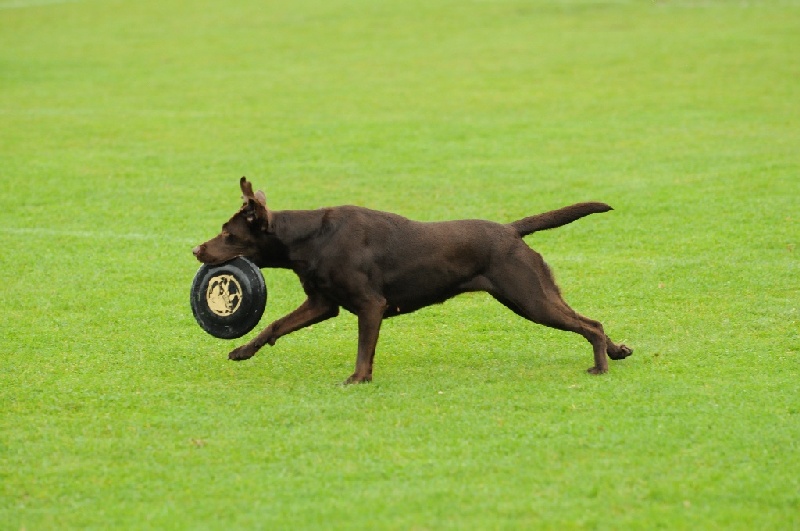 Image 56 of 855  -  198 kB