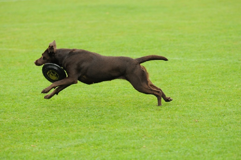 Image 57 of 855  -  197 kB